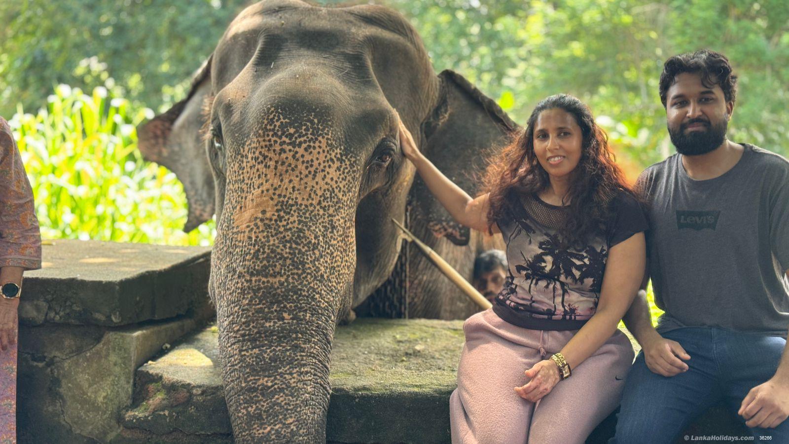 rent a guide in srilanka